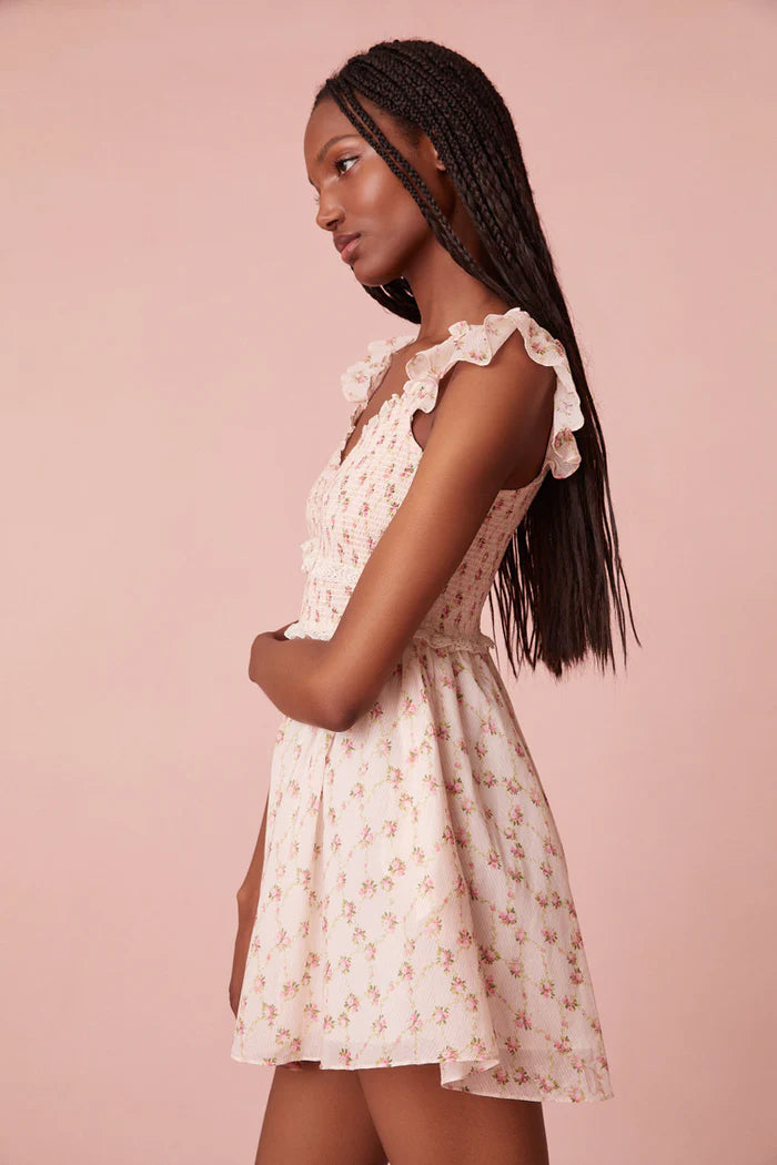 Sunshine Mini Cotton Dress - Cherry Kisses